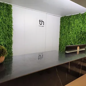 Hotel Telioni ***